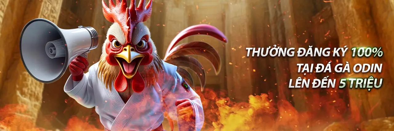 Hướng dẫn cá cược trực tuyến cho người mới tại trang cá cược uy tín